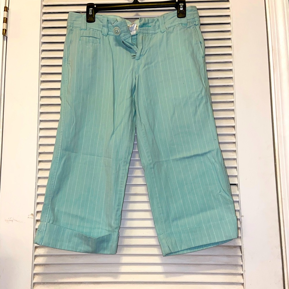 American Eagle Cropped Pants